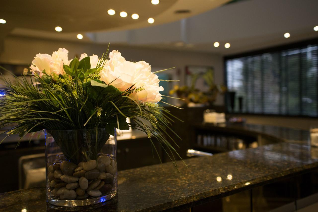 Hotel Motel Ascot リッソーネ エクステリア 写真
